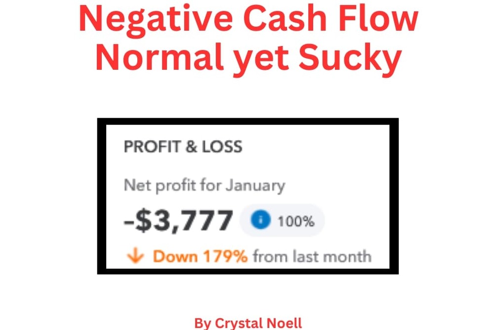 Negative Cash Flow: Normal yet Sucky